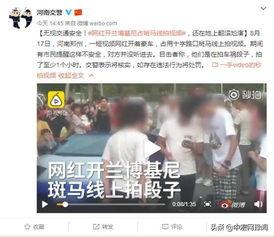 河南网红爆料新闻视频大全,新闻视频大全精彩回顾